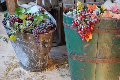 Vine -Picking Basket for Grapes