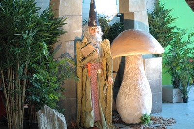 Wizard, Merlin 
