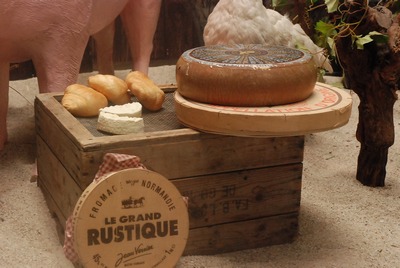 Case with 9 French &amp; Swiss Cheeses