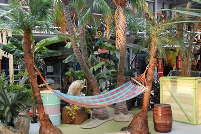Two Palmtrees with a hammock