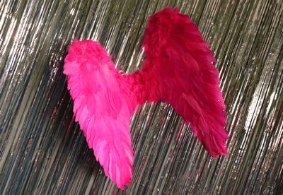 sale Angelwings Pink