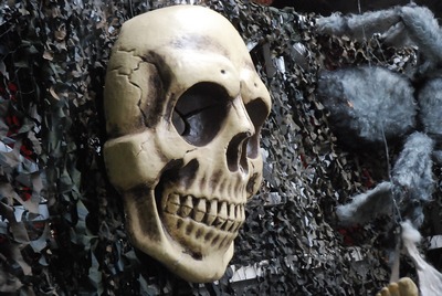 Skull Human, XXL (semi 3D )