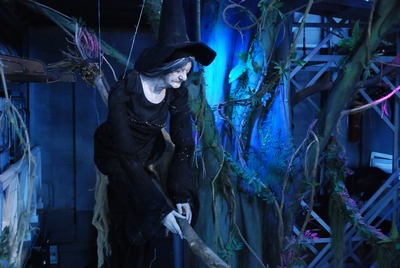 Witch on broomstick