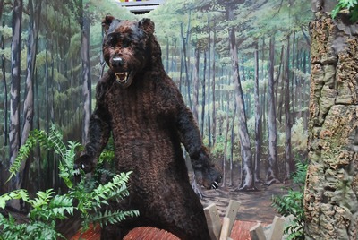 Grizzlybear standing up,  life-size
