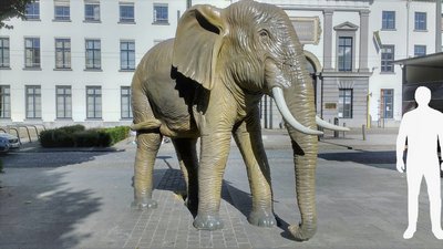 Elephant, Life-size