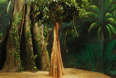 Jungle Tree  Medium 