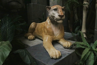 Lioness, life-size