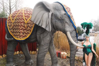 Harness, to make &quot;Elephant&quot;a Circus/Indian Act
