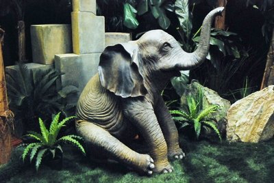 Baby Elephant, Sitting