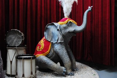 Harness, to make &quot;Baby Elephant&quot;a Circus Act