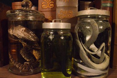 Jar with a Reptile on Aqua Fortis, a pc.
