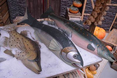 Brown Trout, Fish, tin, (right-side)
