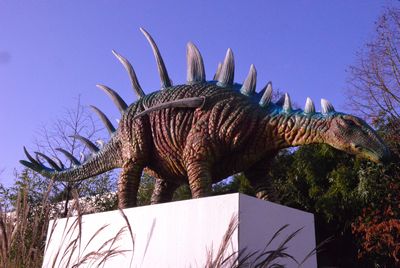 Dinosaur, Kentrosaurus, (Jurassic)