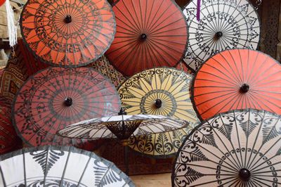 Burmese Parasol S all sorts of colours