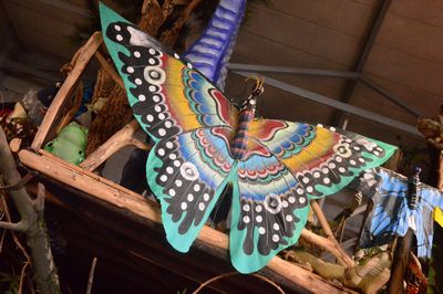 Butterfly Kite Medium