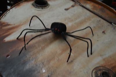 sale  Black Spider