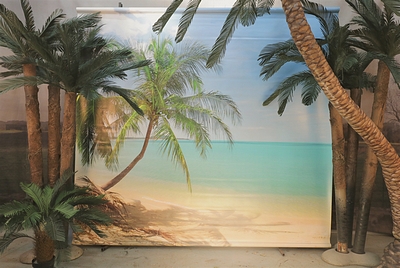 Palmbeach Photoprint on canvas, Left-Side
