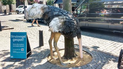 Ostrich with Head in the Sand