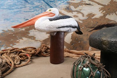Pelican  Sitting down on a Pole
