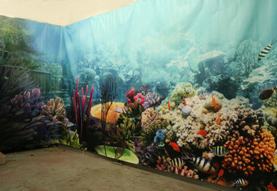 Barrier Reef  on Canvas,  left side