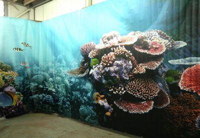 Barrier reef  on Canvas,  right-side 