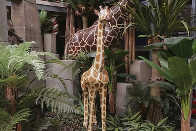 Baby Giraffe, life-size