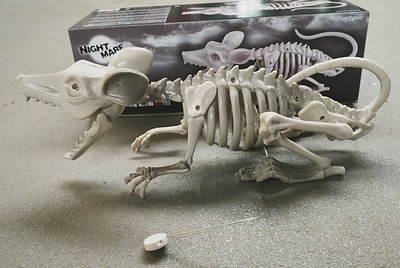sale Skeleton of a Rat with lights