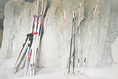 Ski Sticks, Modern , a pair