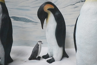 Penguin Feading, Emperor