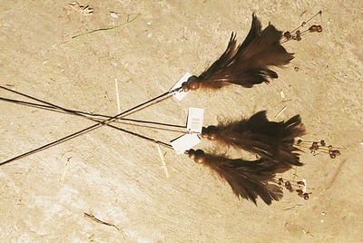 Plumes  on a stick  Brown