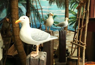 Seagull Standing on a Bollard