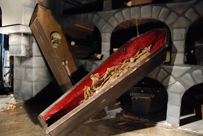 Coffin, Wood, tissue with bones