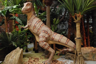 Dinosaur, Tyranosaurus Rex, (Cretaceous)