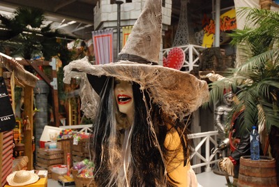sale Wig for a Witch