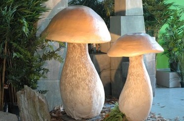 Mushroom, Boletus, large