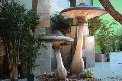 Mushroom, Fungus, L