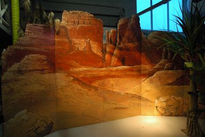 Screen, Grand-Canyon landscape